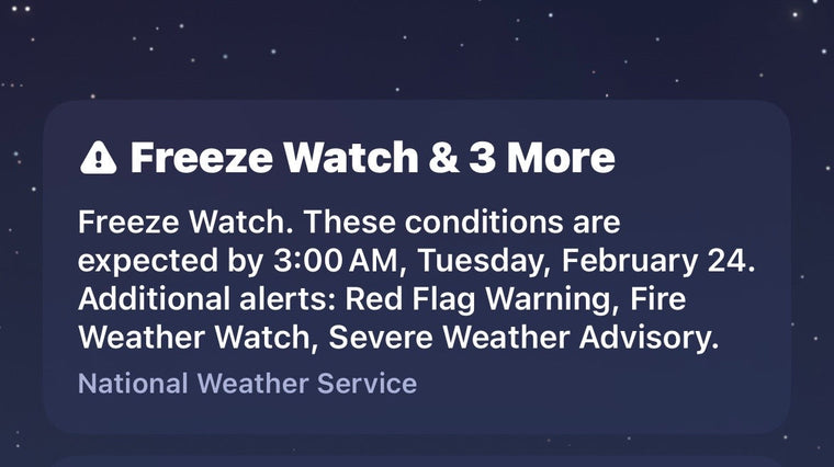 Dry Freeze Alert: Tuesday's Cold Snap Requires Different Prep