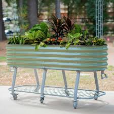 Rolling Raised Bed + Herbs That Thrive in - Rooted In J's