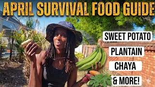 What to Plant in April: Survival Crops for Florida Gardeners